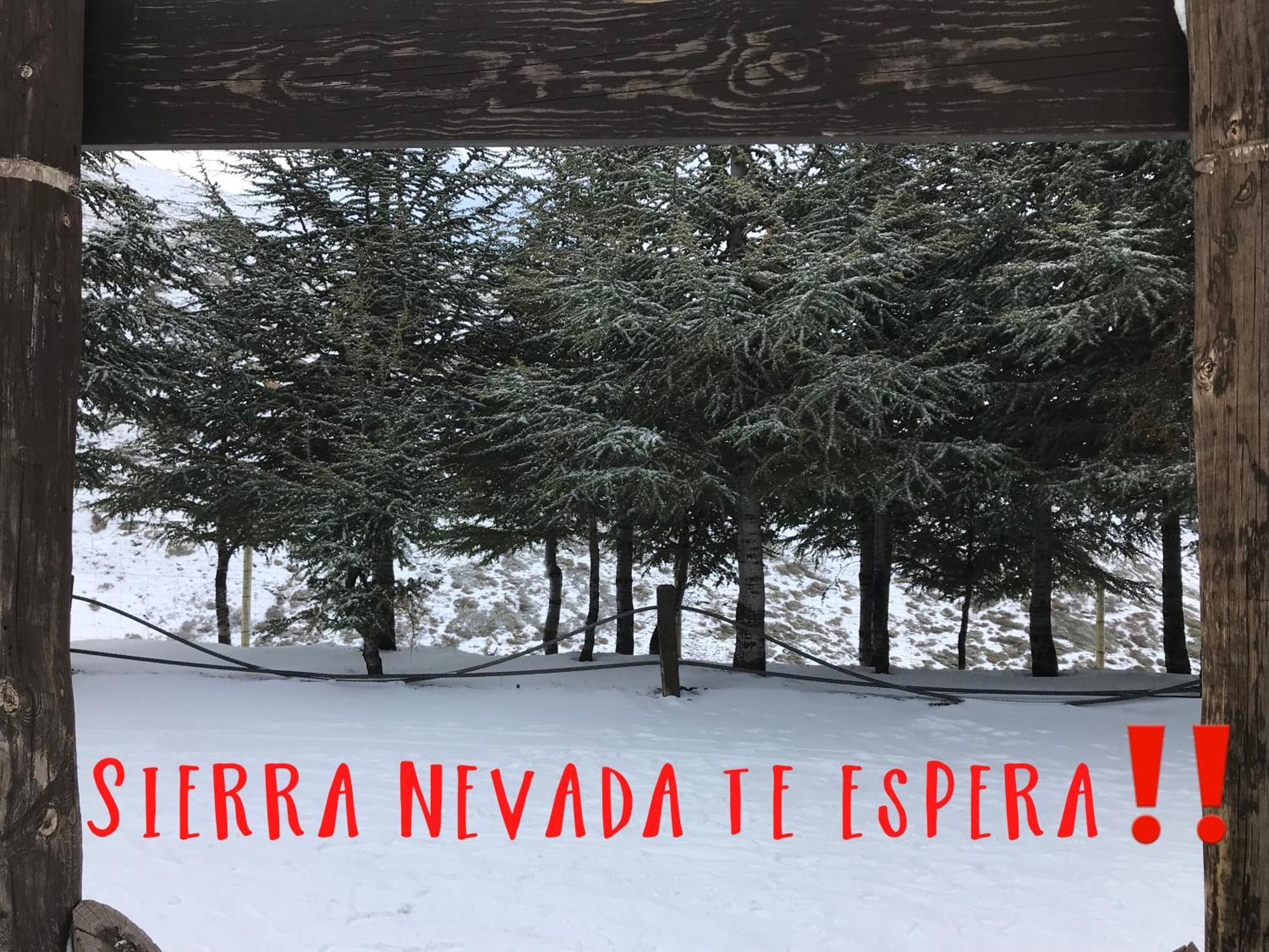 Inside Plaza Sierra Nevada 아파트 외부 사진