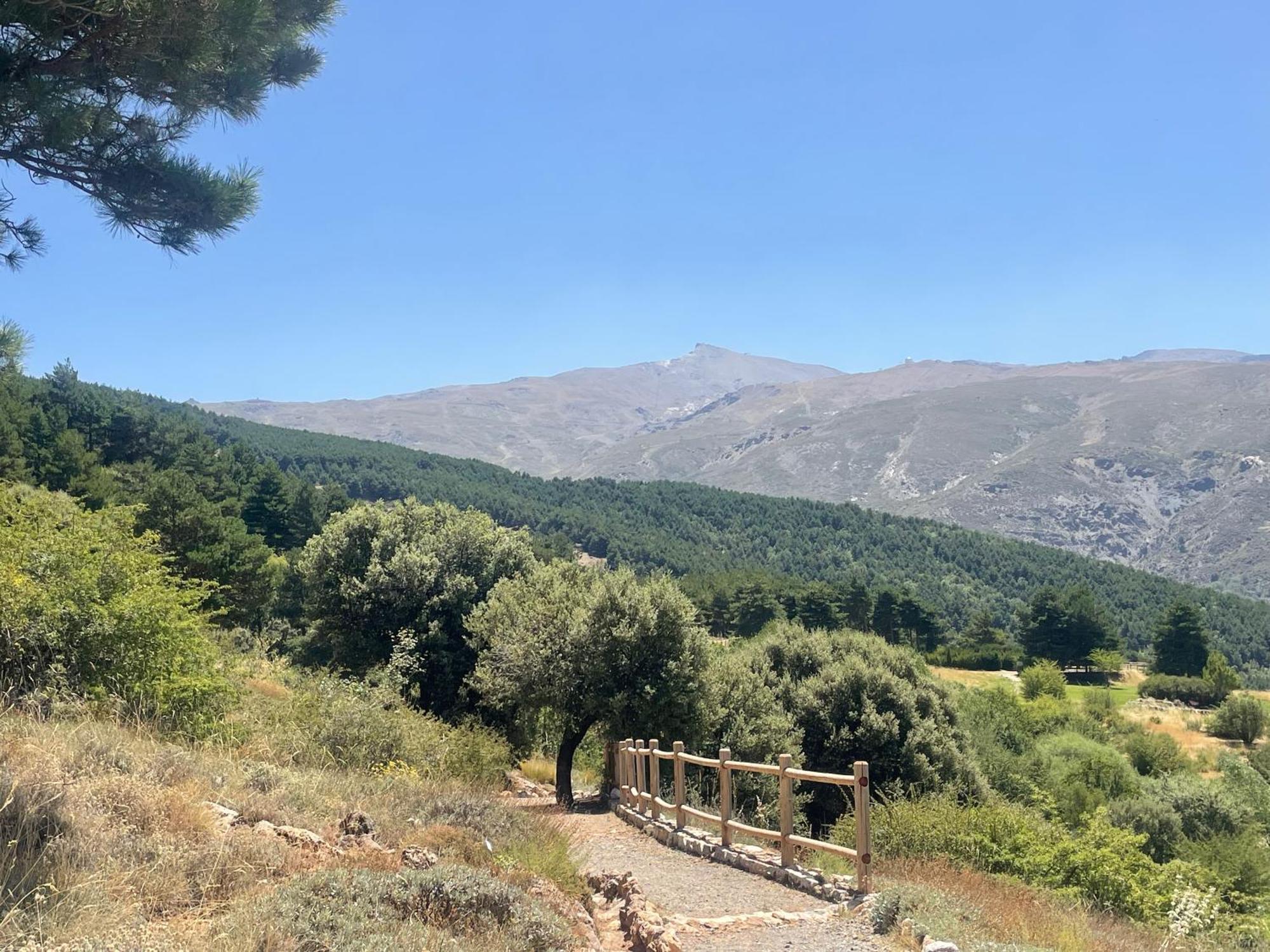 Inside Plaza Sierra Nevada 아파트 외부 사진